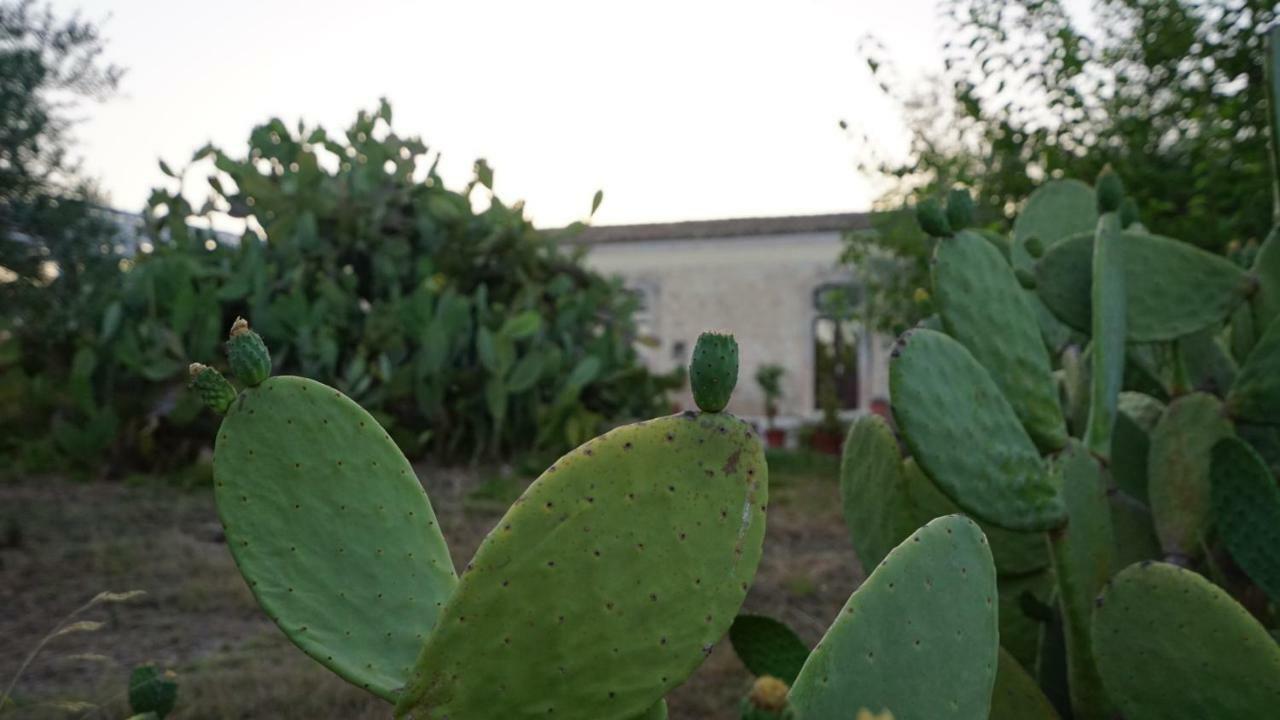 Agriturismo Gaia Villa Noto Exterior foto